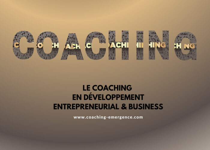 Coaching en développement entrepreneurial & business Céline Demotier Coach professionnelle